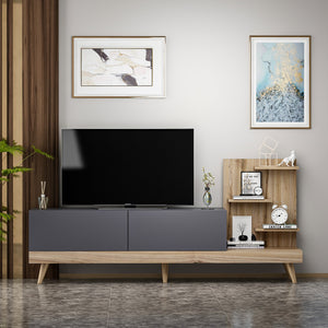 TV Stand Dizayn
