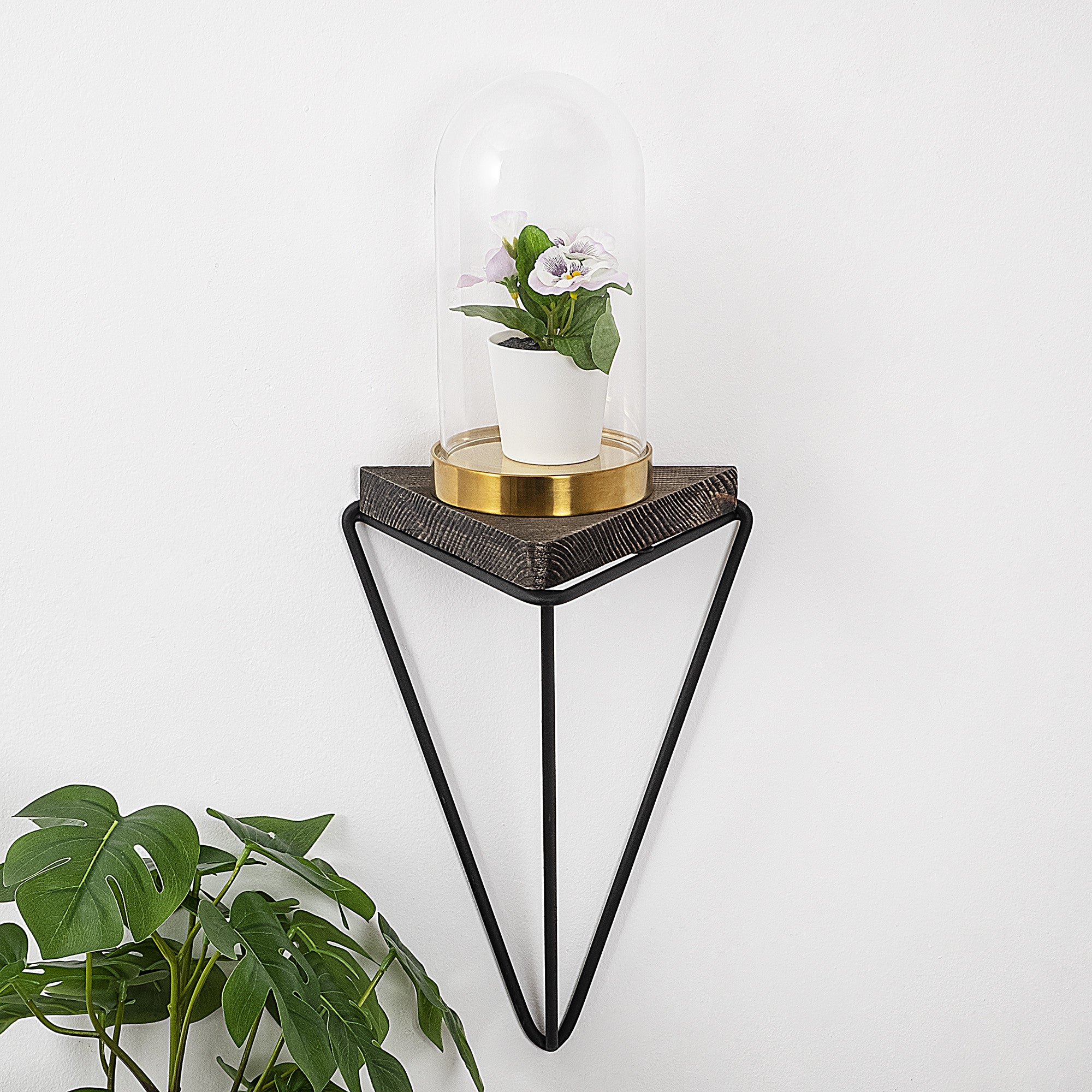 Wall Shelf Rosaceae