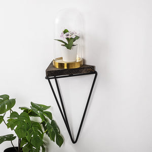 Wall Shelf Rosaceae