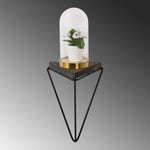 Wall Shelf Rosaceae
