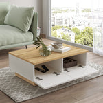 Coffee Table LV17-WK
