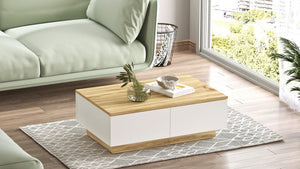 Coffee Table LV17-WK