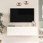 TV Unit FR12-AW
