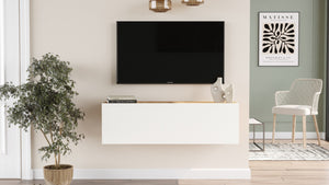 TV Unit FR12-AW