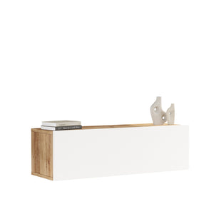 TV Unit FR12-AW