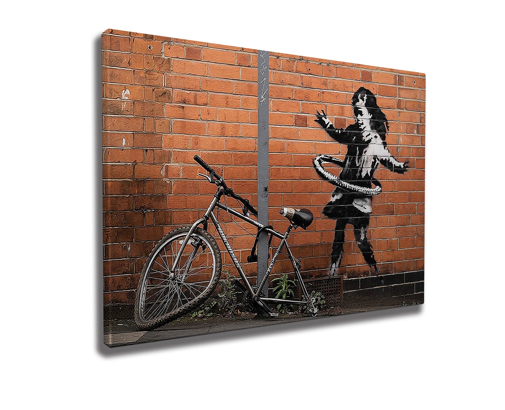 Decorative Framed Canvas Painting - WY22 (50 x 70)